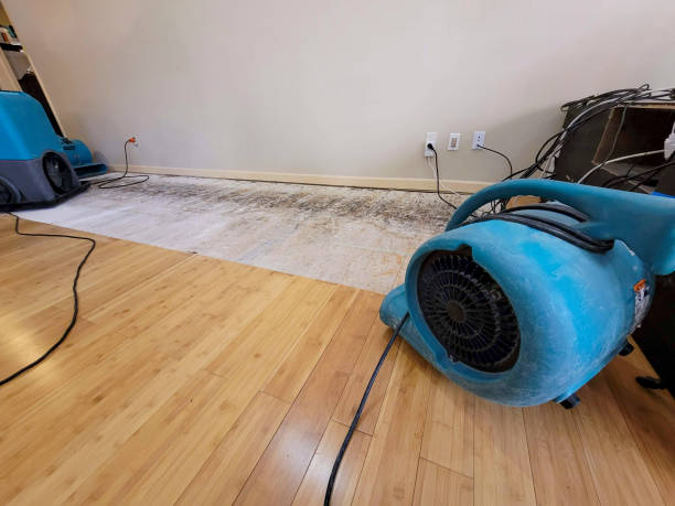 Professional Basement Flood Cleanup technician working in Flemington, PA